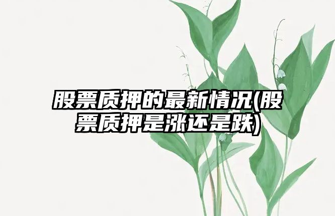 股票質(zhì)押的最新情況(股票質(zhì)押是漲還是跌)