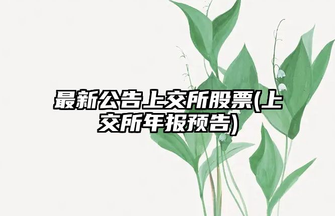 最新公告上交所股票(上交所年報預告)