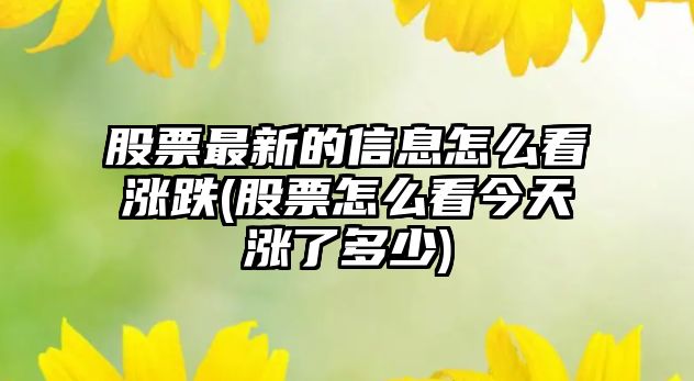 股票最新的信息怎么看漲跌(股票怎么看今天漲了多少)