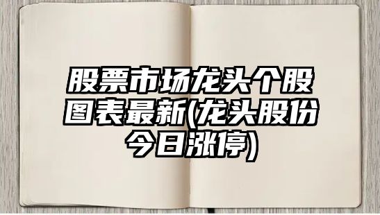 股票市場(chǎng)龍頭個(gè)股圖表最新(龍頭股份今日漲停)