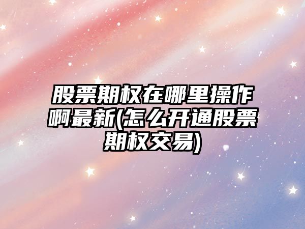 股票期權在哪里操作啊最新(怎么開(kāi)通股票期權交易)