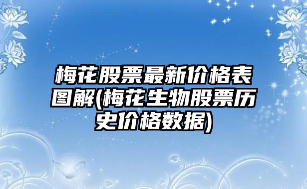 梅花股票最新價(jià)格表圖解(梅花生物股票歷史價(jià)格數據)