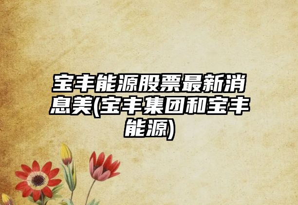 寶豐能源股票最新消息美(寶豐集團和寶豐能源)