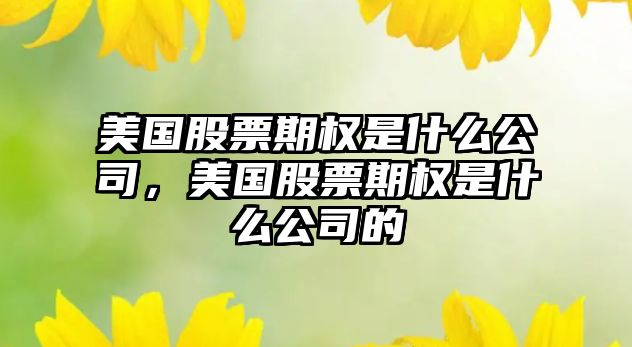 美國股票期權是什么公司，美國股票期權是什么公司的