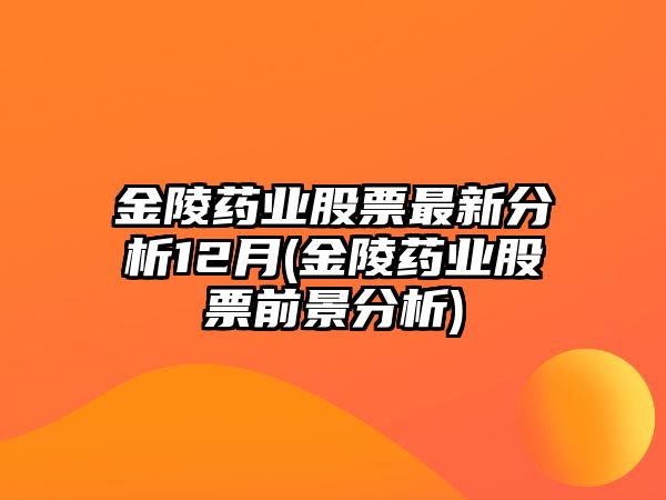 金陵藥業(yè)股票最新分析12月(金陵藥業(yè)股票前景分析)