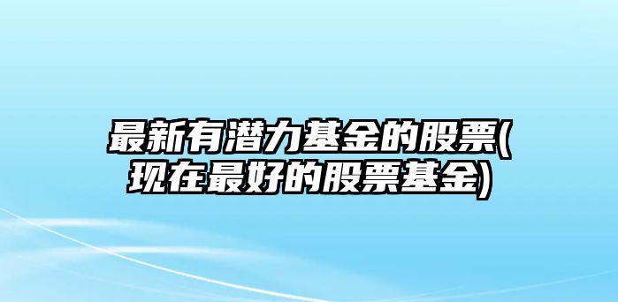 最新有潛力基金的股票(現在最好的股票基金)