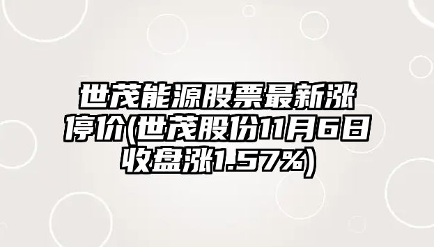 世茂能源股票最新漲停價(jià)(世茂股份11月6日收盤(pán)漲1.57%)