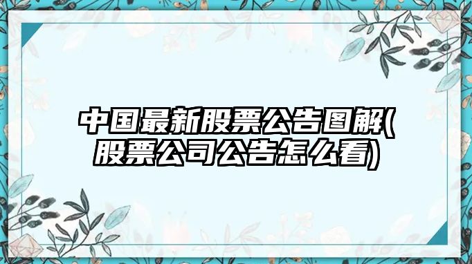 中國最新股票公告圖解(股票公司公告怎么看)