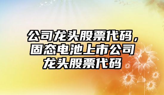 公司龍頭股票代碼，固態(tài)電池上市公司龍頭股票代碼