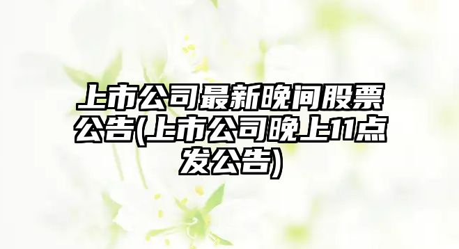 上市公司最新晚間股票公告(上市公司晚上11點(diǎn)發(fā)公告)