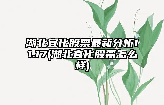 湖北宜化股票最新分析11.17(湖北宜化股票怎么樣)