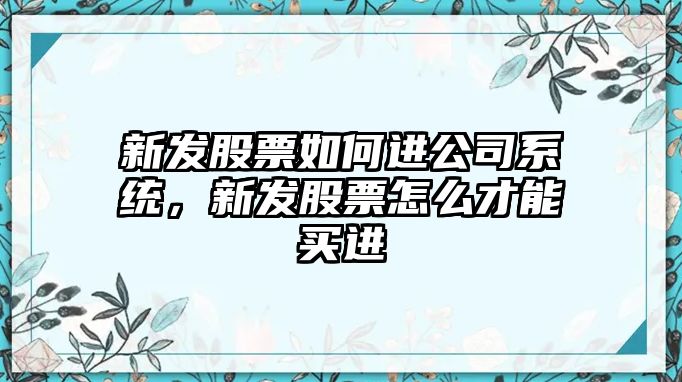 新發(fā)股票如何進(jìn)公司系統，新發(fā)股票怎么才能買(mǎi)進(jìn)