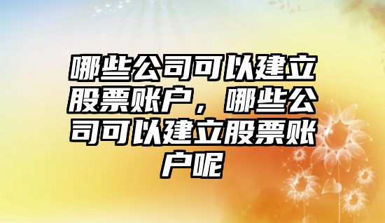 哪些公司可以建立股票賬戶(hù)，哪些公司可以建立股票賬戶(hù)呢