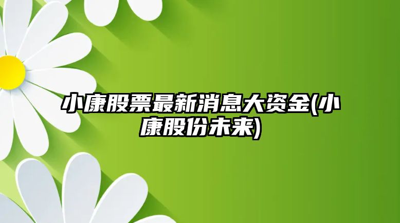 小康股票最新消息大資金(小康股份未來(lái))