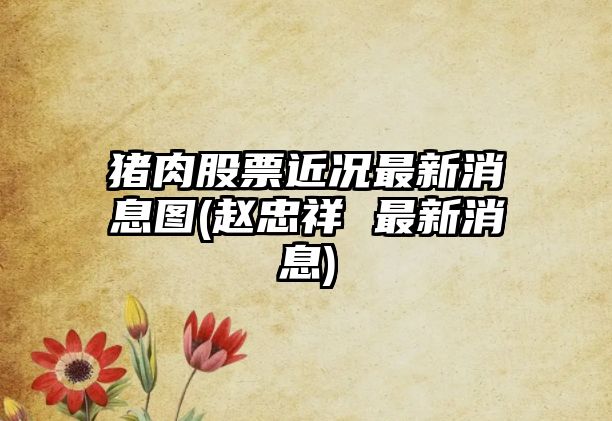 豬肉股票近況最新消息圖(趙忠祥 最新消息)