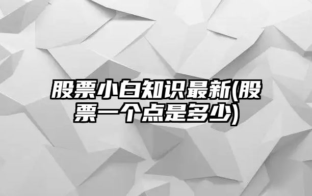 股票小白知識最新(股票一個(gè)點(diǎn)是多少)