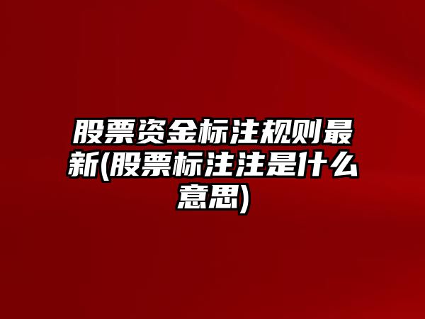 股票資金標注規則最新(股票標注注是什么意思)