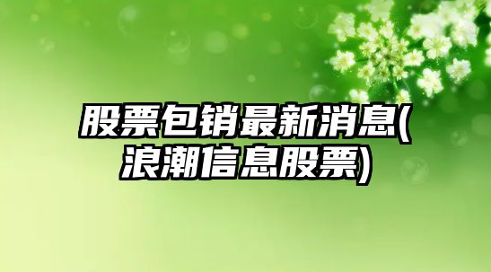 股票包銷(xiāo)最新消息(浪潮信息股票)