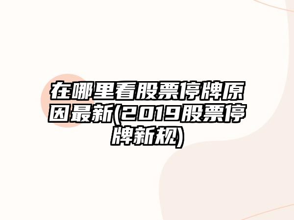 在哪里看股票停牌原因最新(2019股票停牌新規)