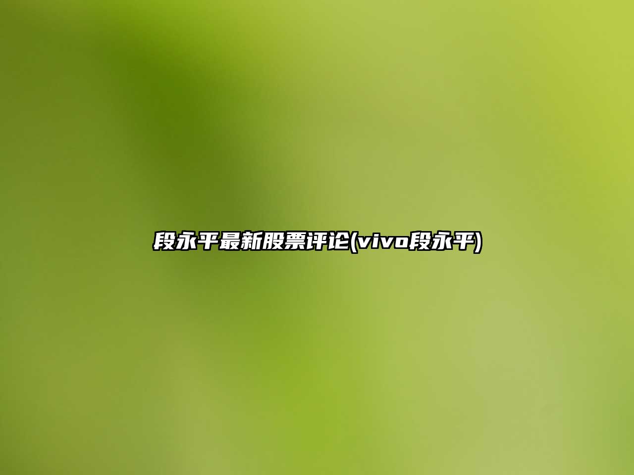 段永平最新股票評論(vivo段永平)