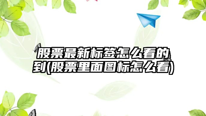 股票最新標簽怎么看的到(股票里面圖標怎么看)