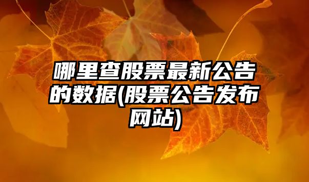 哪里查股票最新公告的數據(股票公告發(fā)布網(wǎng)站)