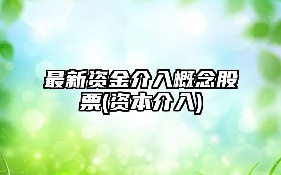 最新資金介入概念股票(資本介入)