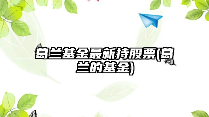 葛蘭基金最新持股票(葛蘭的基金)