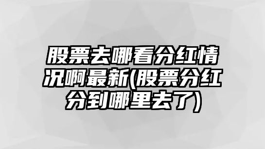 股票去哪看分紅情況啊最新(股票分紅分到哪里去了)