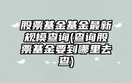 股票基金基金最新規模查詢(xún)(查詢(xún)股票基金要到哪里去查)