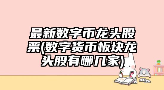 最新數字幣龍頭股票(數字貨幣板塊龍頭股有哪幾家)