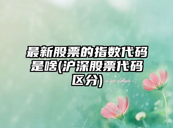 最新股票的指數代碼是啥(滬深股票代碼區分)