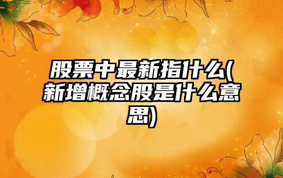 股票中最新指什么(新增概念股是什么意思)