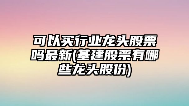 可以買(mǎi)行業(yè)龍頭股票嗎最新(基建股票有哪些龍頭股份)