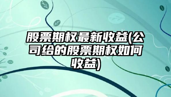 股票期權最新收益(公司給的股票期權如何收益)