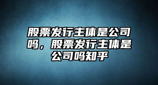 股票發(fā)行主體是公司嗎，股票發(fā)行主體是公司嗎知乎