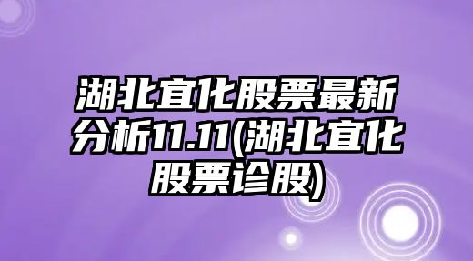 湖北宜化股票最新分析11.11(湖北宜化股票診股)