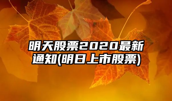 明天股票2020最新通知(明日上市股票)