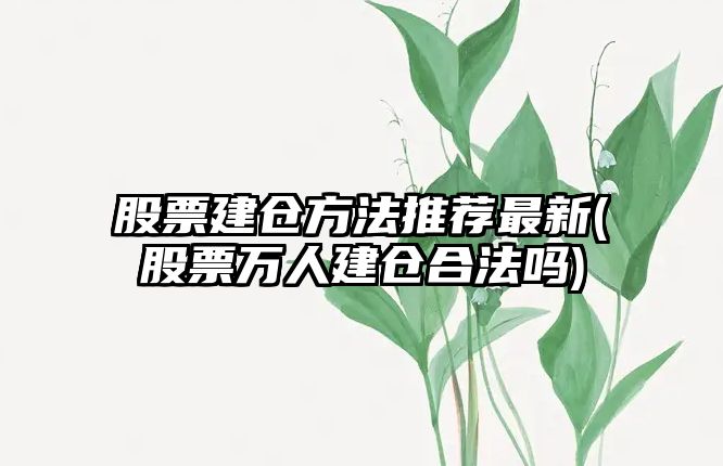 股票建倉方法推薦最新(股票萬(wàn)人建倉合法嗎)