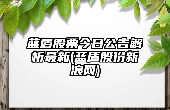 藍盾股票今日公告解析最新(藍盾股份新浪網(wǎng))