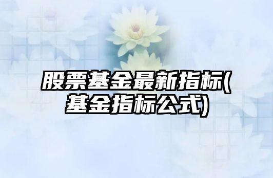 股票基金最新指標(基金指標公式)