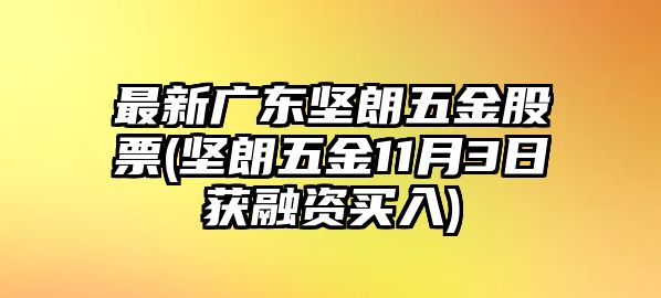 最新廣東堅朗五金股票(堅朗五金11月3日獲融資買(mǎi)入)