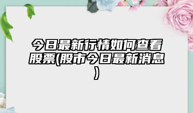 今日最新行情如何查看股票(股市今日最新消息)