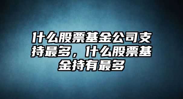 什么股票基金公司支持最多，什么股票基金持有最多