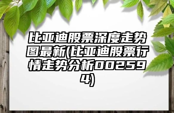 比亞迪股票深度走勢圖最新(比亞迪股票行情走勢分析002594)