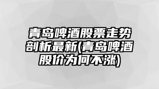 青島啤酒股票走勢剖析最新(青島啤酒股價(jià)為何不漲)