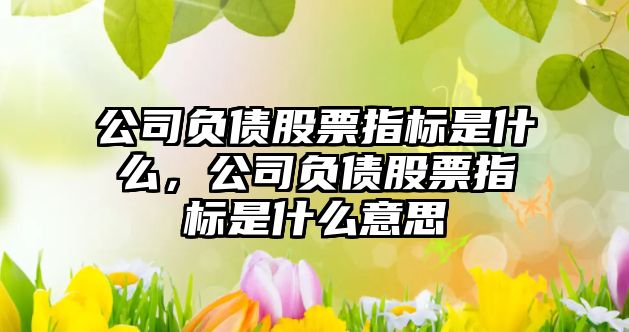 公司負債股票指標是什么，公司負債股票指標是什么意思