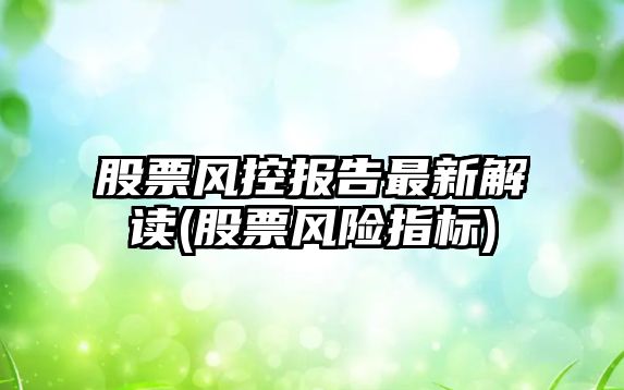 股票風(fēng)控報告最新解讀(股票風(fēng)險指標)