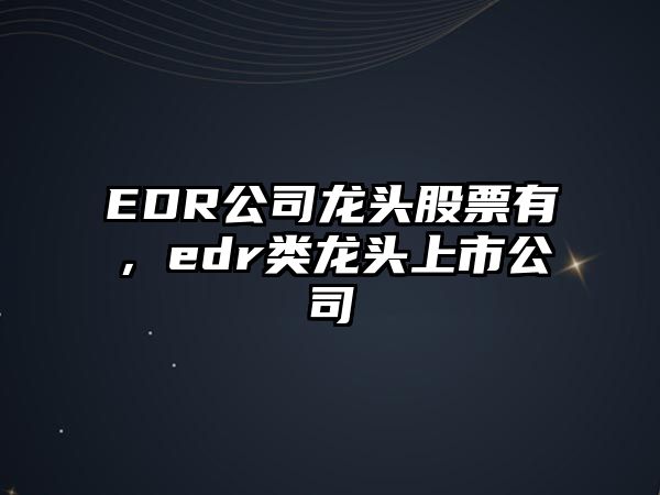 EDR公司龍頭股票有，edr類(lèi)龍頭上市公司