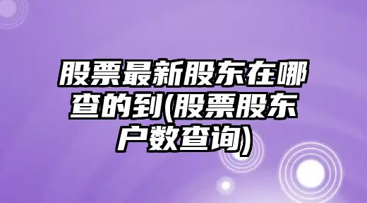 股票最新股東在哪查的到(股票股東戶(hù)數查詢(xún))